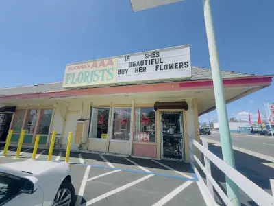 Alan's AAA Florist, Google photo 1