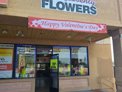 Heavenly Flowers, Google photo 1