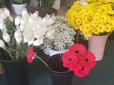 Maranatha Flowers, Google photo 1