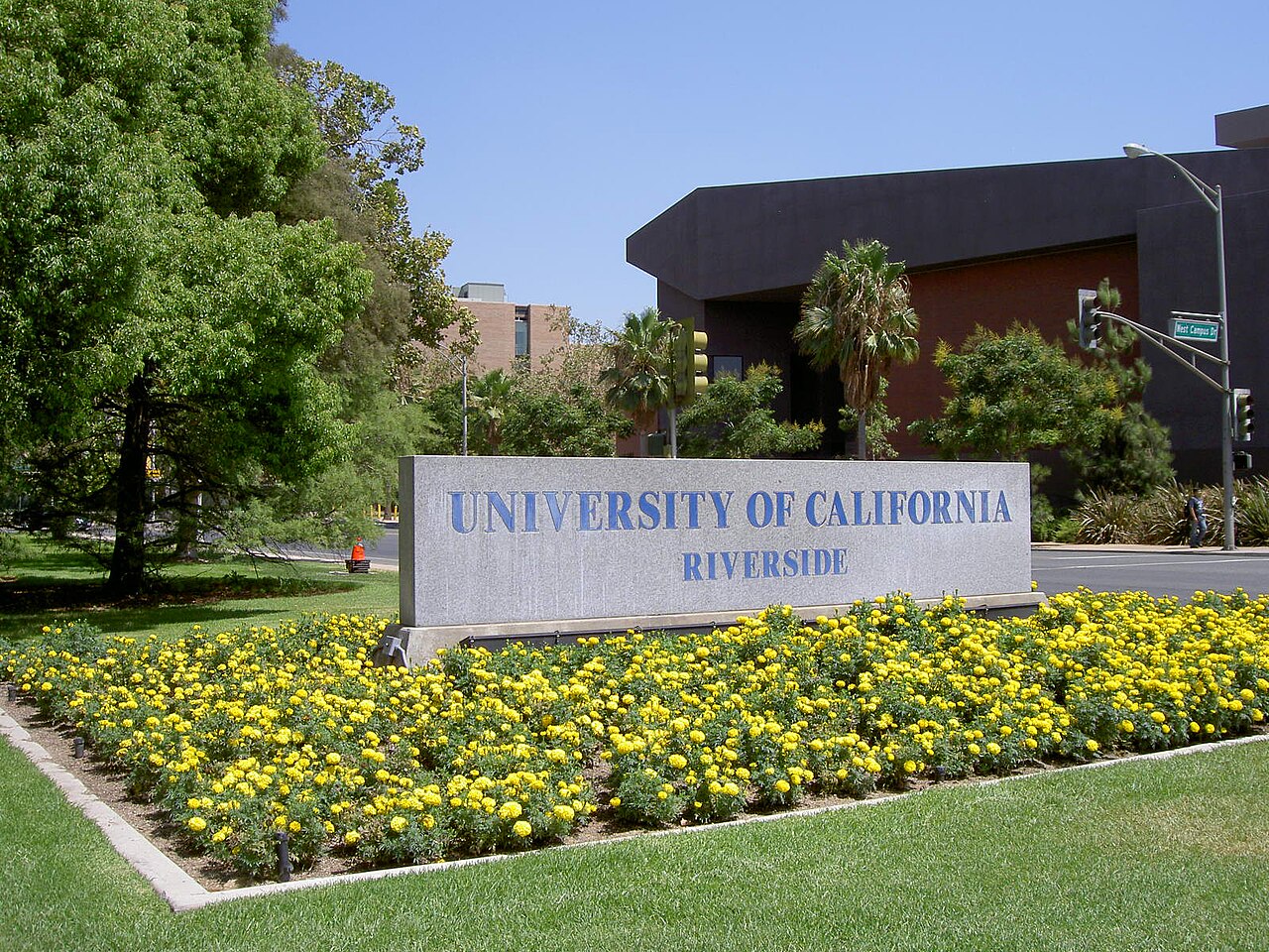 University of California-Riverside campus
